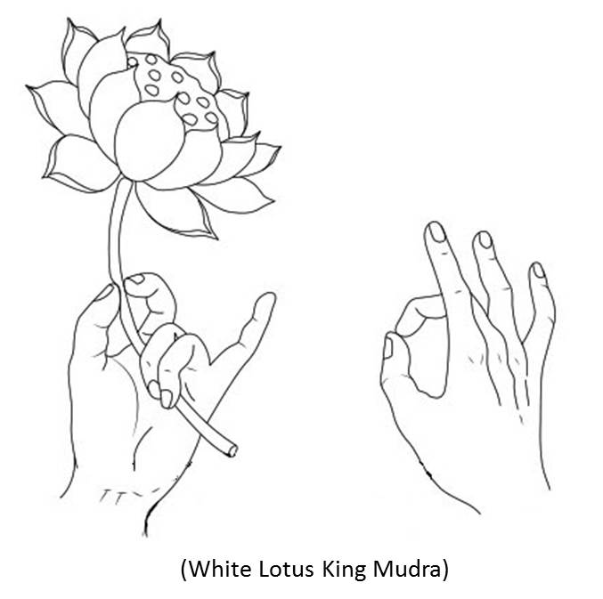 White Lotus King Mudra